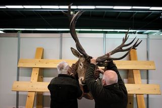 Manažer myslivců půjčil 15 milionů ke zhodnocení. Peníze zmizely - Seznam Zprávy